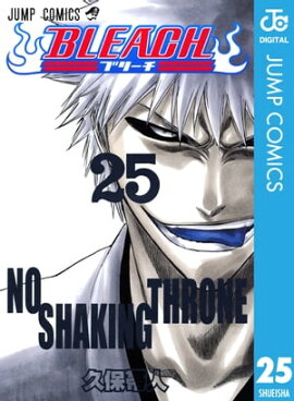 BLEACH モノクロ版 25 