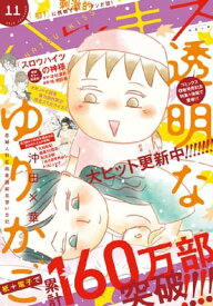 楽天市場 小説 透明なゆりかごの通販