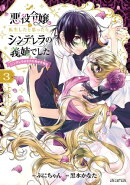 悪役令嬢に転生したと思ったら、シンデレラの義姉でした 〜シンデレラオタクの異世界転生〜/ 3