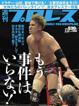 週刊プロレス 2017年 2/22号 No.1890 