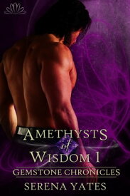 Amethysts of Wisdom 1 Finding Amethysia【電子書籍】[ Serena Yates ]