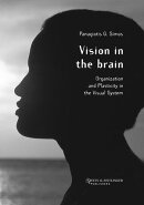 Vision in the Brain