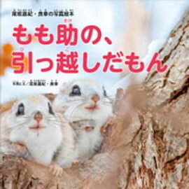 ���侻�����ɹ��μ̿����� �����Ρ����ñۤ������ 