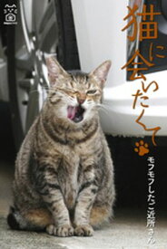 猫に会いたくて モフモフしたご近所さん【電子書籍】[ mayuニャン ]