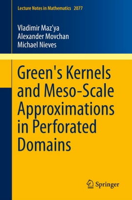Green's Kernels and Meso-Scale Approximations in Perforated Domains 