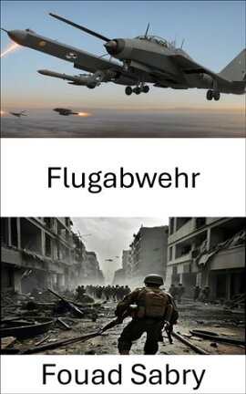 Flugabwehr Strategien und Technologien im modernen Kampf