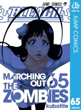 BLEACH モノクロ版 65 