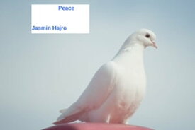 Peace【電子書籍】[ Jasmin Hajro ]
