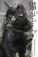 猫に会いたくて また会えましたニャ