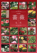 写真集 薔薇