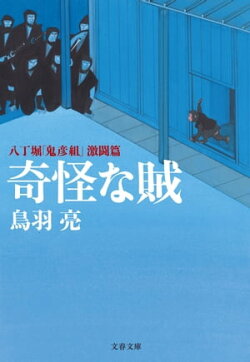 奇怪な賊 八丁堀「鬼彦組」激闘篇