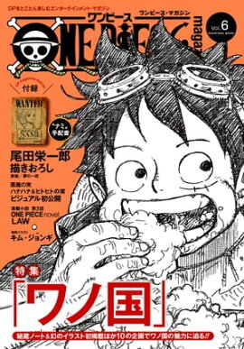 ONE PIECE magazine Vol.6 