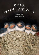 とことんツバメ、アマツバメ