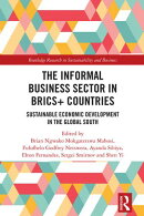 The Informal Business Sector in BRICS+ Countries