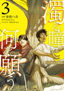 濁る瞳で何を願う　ハイセルク戦記（３）