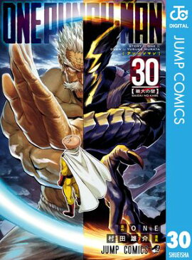 ���ѥ�ޥ� 30 