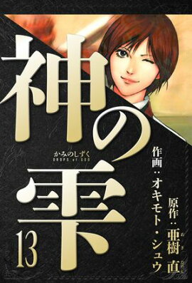 神の雫　愛蔵版　13 