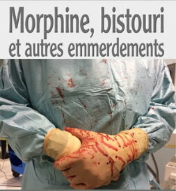 Morphine, Bistouri et Autres Emmerdements【電子書籍】[ denis dupuy ]