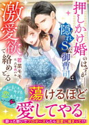 押しかけ婚のはずがーー隠れSな御曹司は激愛欲で絡めとる【SS付き】