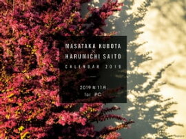 ߼̿ȡƣƻ2019.11 for PC 