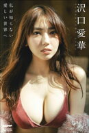 沢口愛華　私が知らない愛しい世界へ