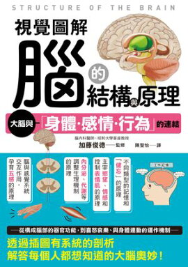 視覺圖解 腦的結構與原理 ビジュアル図解 脳のしくみがわかる本