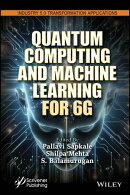 Quantum Computing and Machine Learning for 6G