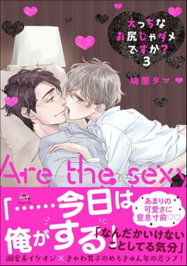 えっちなお尻じゃダメですか？【電子限定かきおろし漫画付】 3 