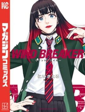 ＷＩＮＤ　ＢＲＥＡＫＥＲ（９） 