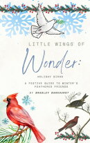 Little Wings of Wonder: Holiday Birds - A Festive Guide to Winter's Feathered Friends