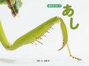 あし