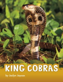 King Cobras【電子書籍】[ Jaclyn Jaycox ]