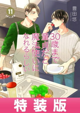 30歳まで童貞だと魔法使いになれるらしい 11巻特装版 純愛（ピュアラブ）Wedding After Party-Just married-小冊子付き【デジタル版限定特典付き】 