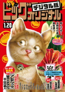 �ӥå����ߥå����ꥸ�ʥ� 2020ǯ2��(2020ǯ1��4��ȯ��) 