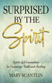 Surprised by the Spirit Spirit-Led Encounters to Encourage Faith and Healing【電子書籍】[ Mary Scantlin ]