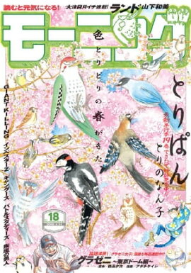 ⡼˥ 2016ǯ18 [2016ǯ331ȯ] 