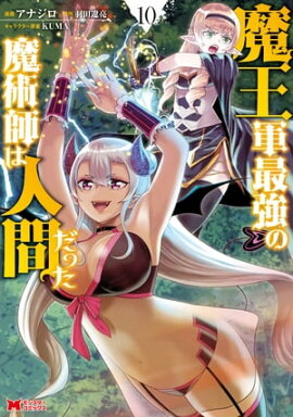 ⲦǶѻդϿʹ֤äʥߥå  10 