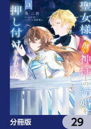聖女様に醜い神様との結婚を押し付けられました【分冊版】　29