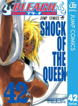 BLEACH モノクロ版 42 