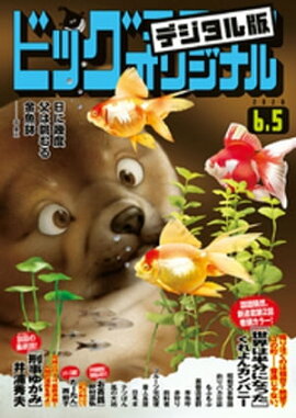 �ӥå����ߥå����ꥸ�ʥ� 2020ǯ11��(2020ǯ5��20��ȯ��) 