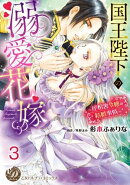 国王陛下の溺愛花嫁〜屋根裏令嬢の結婚事情〜【分冊版】3