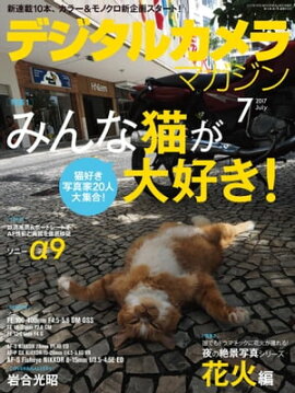 �ǥ����륫���ޥ����� 2017ǯ7��� 