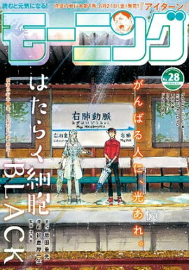 ⡼˥ 2019ǯ28 [2019ǯ613ȯ] 