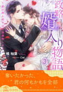 政略婿入り物語〜愛の押し売りはご遠慮致します〜【３】