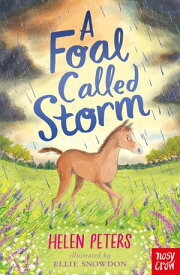 A Foal Called Storm【電子書籍】[ Helen Peters ]