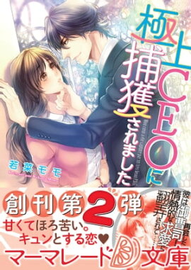 極上CEOに捕獲されました 