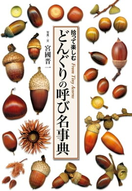 ɤ󤰤θƤ̾ŵ äƳڤ