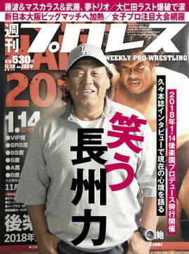 週刊プロレス 2017年 11/15号 No.1929 