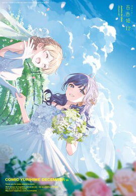 ���ߥå�ɴ��ɱ��2025ǯ12��� 