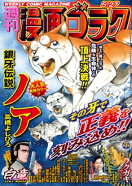漫画ゴラク 2022年 5/27 号 